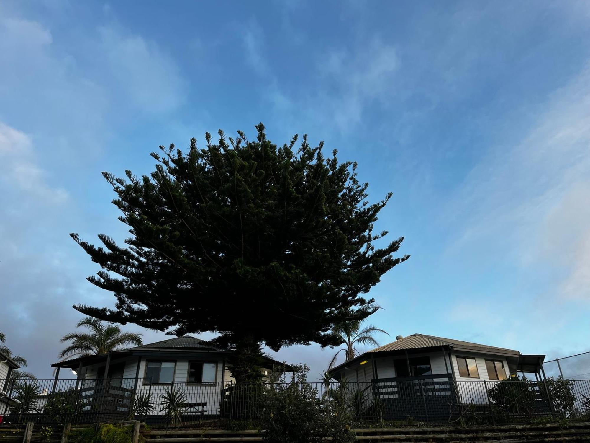 Shelly Beach Holiday Park Entrance Esterno foto